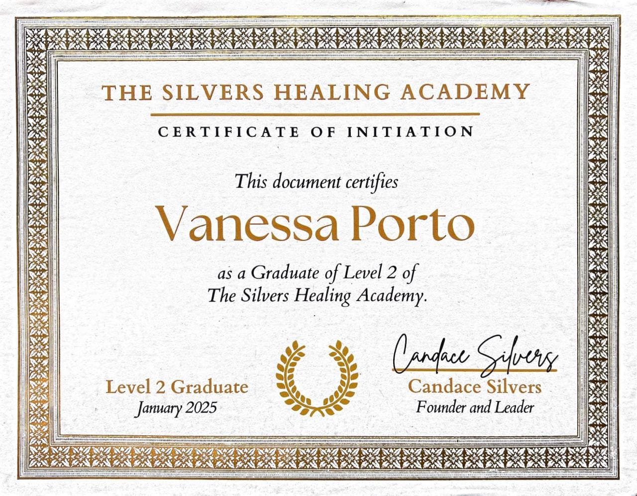 Silvers Healing Academy Level 2